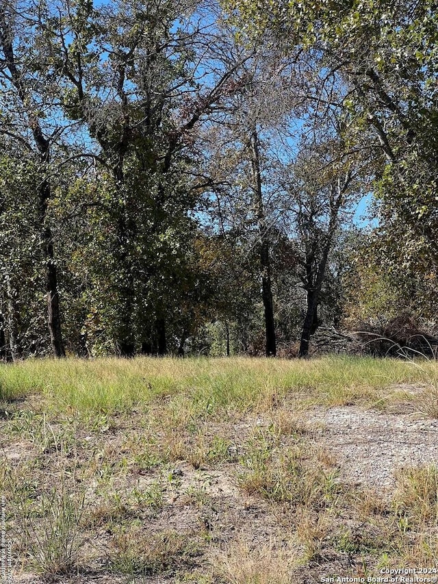 Listing photo 2 for 267 County Road 6861, Natalia TX 78059