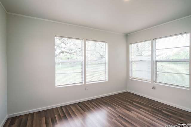 empty room featuring dark hardwood / wood-style floors and ornamental molding