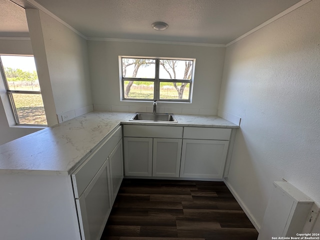 kitchen featuring kitchen peninsula, sink, white cabinets, and ornamental molding