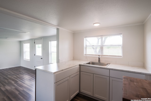 kitchen featuring sink, dark wood-type flooring, kitchen peninsula, a textured ceiling, and ornamental molding