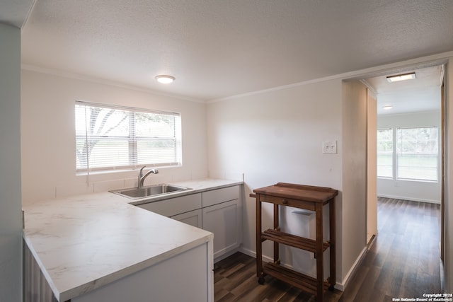 kitchen featuring kitchen peninsula, crown molding, sink, and dark hardwood / wood-style floors