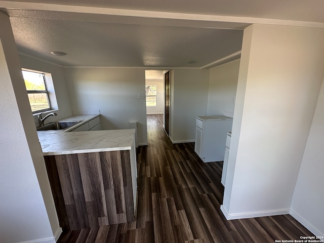 kitchen with a textured ceiling, crown molding, dark hardwood / wood-style flooring, and sink