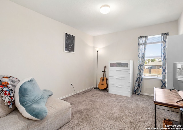 sitting room featuring carpet flooring