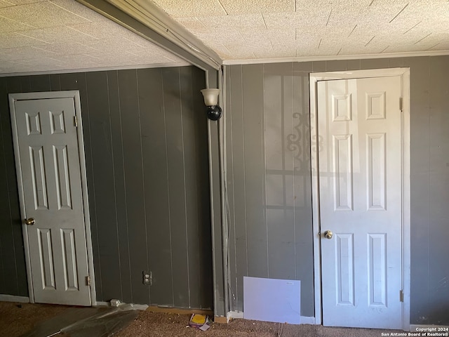 interior space featuring wooden walls