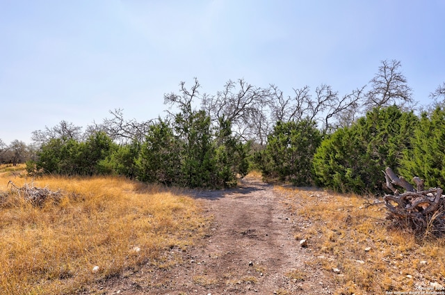 view of road with a rural view