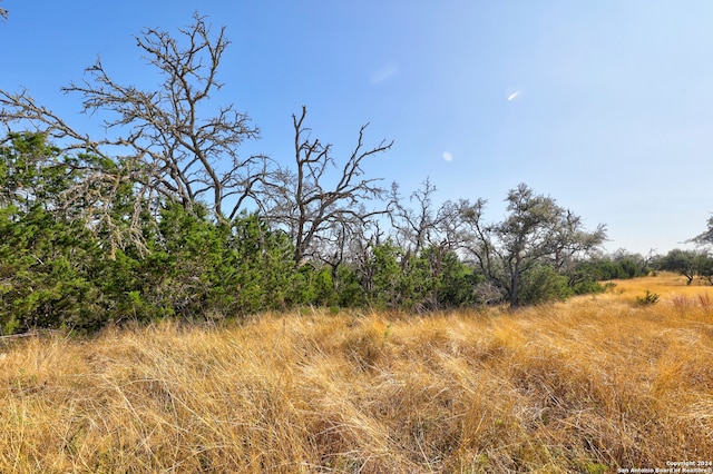 view of nature