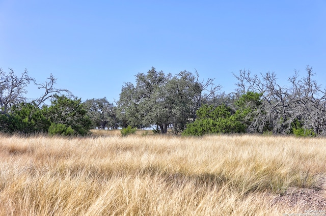 view of nature