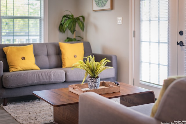 living room featuring hardwood / wood-style floors