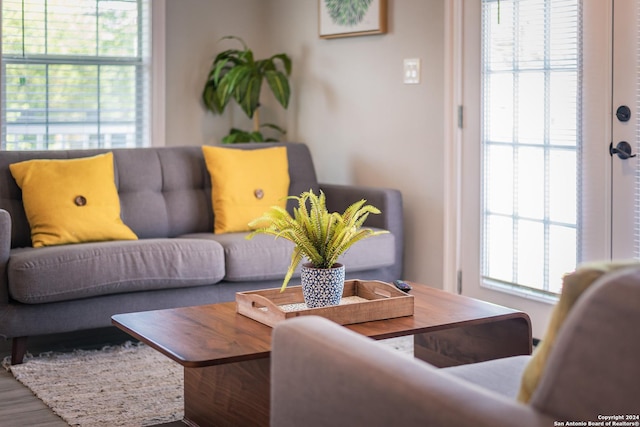 802 Piedmont Ave, San Antonio, TX 78210 - living room featuring wood finished floors