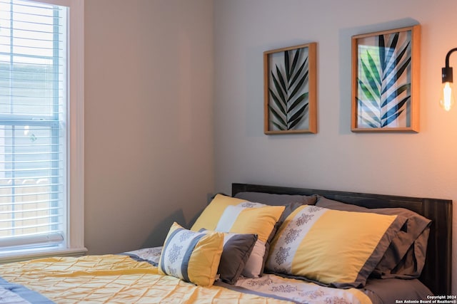 802 Piedmont Ave, San Antonio, TX 78210 - view of bedroom