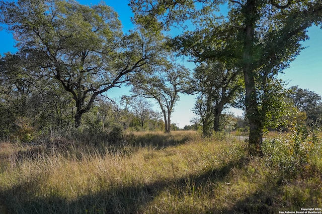 000 Old Seguin Luling Rd, Seguin TX, 78155 land for sale