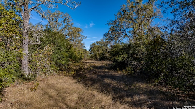 Listing photo 2 for 000 Old Seguin Luling Rd, Seguin TX 78155