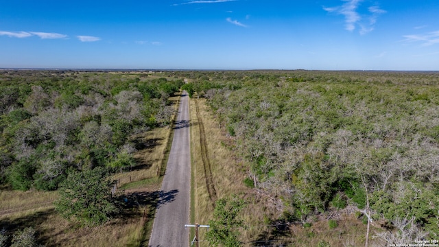 Listing photo 3 for 000 Old Seguin Luling Rd, Seguin TX 78155