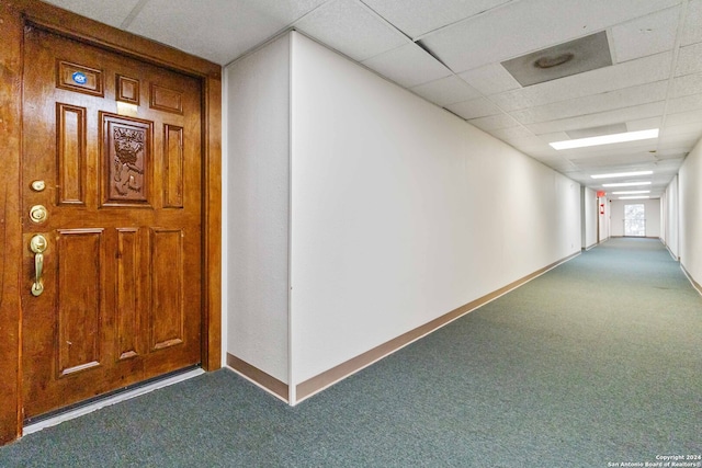 hall with carpet flooring and a paneled ceiling