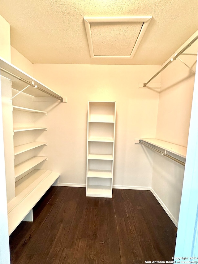 spacious closet with dark wood-type flooring