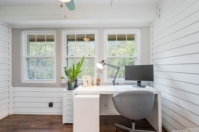 office featuring plenty of natural light, wood walls, and dark wood-type flooring