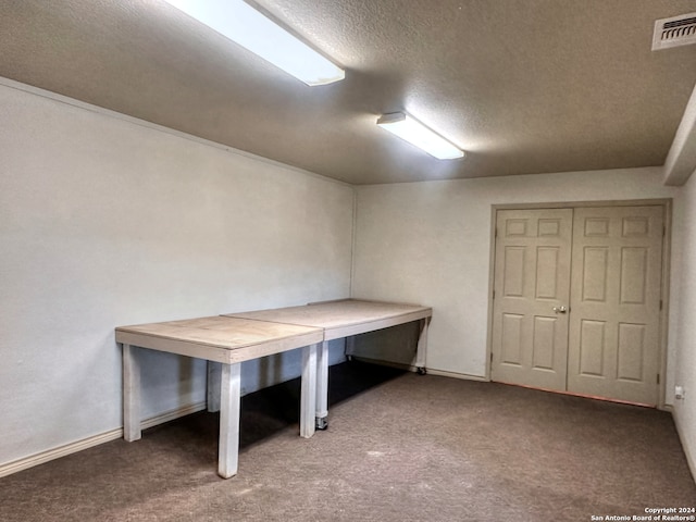 interior space with carpet floors and a textured ceiling