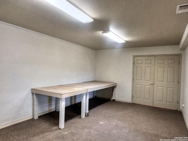 interior space with carpet flooring and a textured ceiling