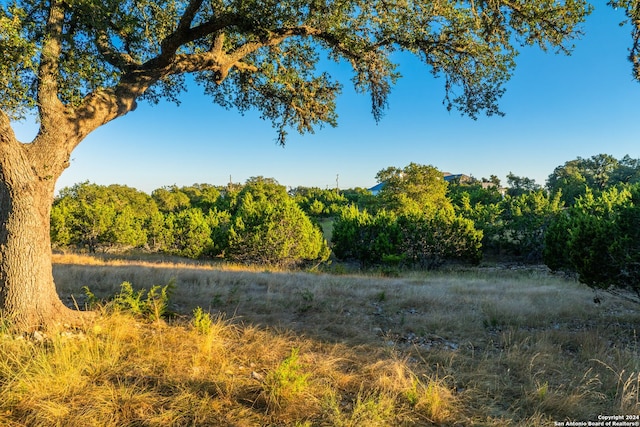 view of landscape