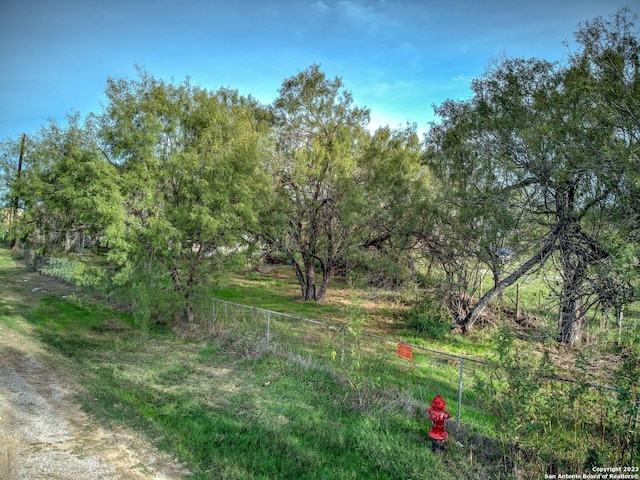 17770 Interstate 35, Lytle, TX 78052 - view of yard