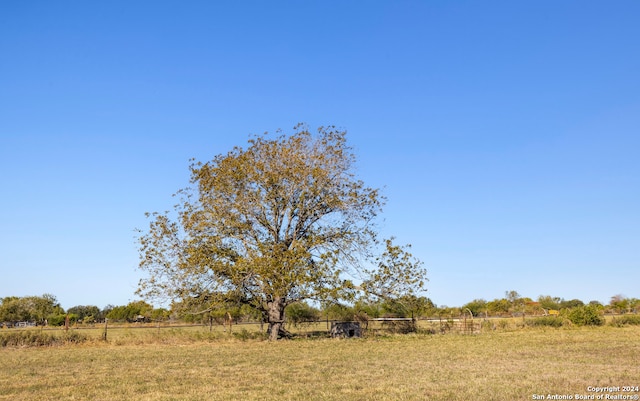 view of yard with a rural view