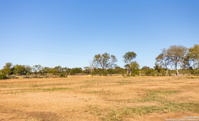 view of local wilderness featuring a rural view