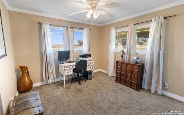 office area featuring carpet flooring, a textured ceiling, ceiling fan, and ornamental molding