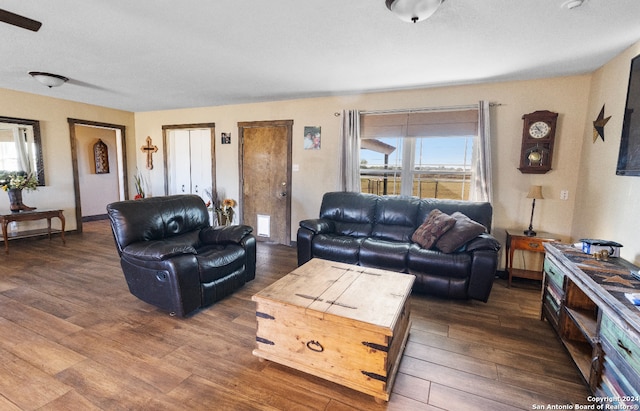 living room featuring a healthy amount of sunlight and dark wood-type flooring