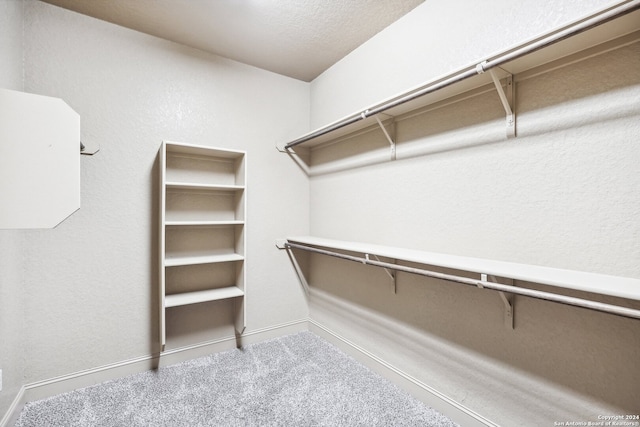 spacious closet with carpet flooring