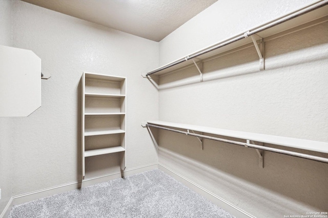 102 Santa Anita, Boerne, TX 78006 - walk in closet with carpet floors