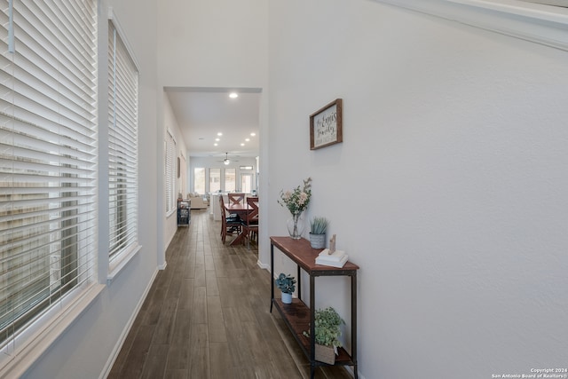 hallway featuring dark hardwood / wood-style floors