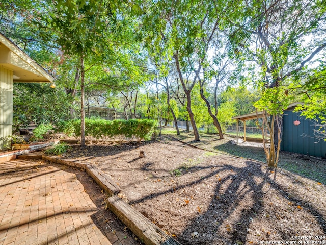 view of yard with a shed