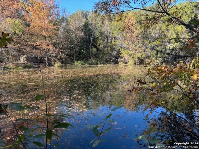 view of nature with a water view