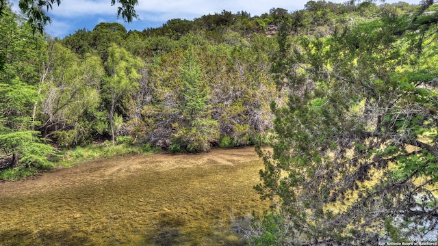 297 Bluff Creek Rd, Leakey, TX 78873 - view of woods