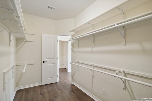 spacious closet featuring dark hardwood / wood-style floors