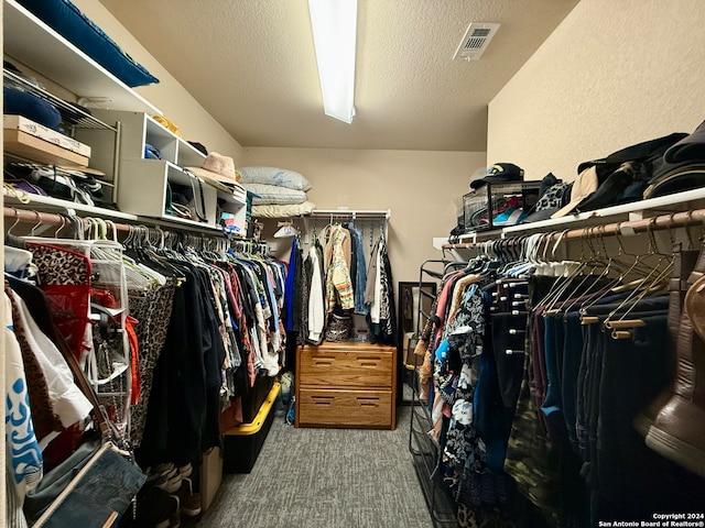 spacious closet with carpet floors