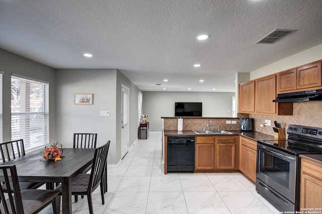 kitchen with dishwasher, a textured ceiling, stainless steel electric stove, and sink