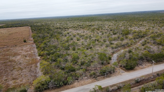 TBD Cr 421, Christine TX, 78012 land for sale