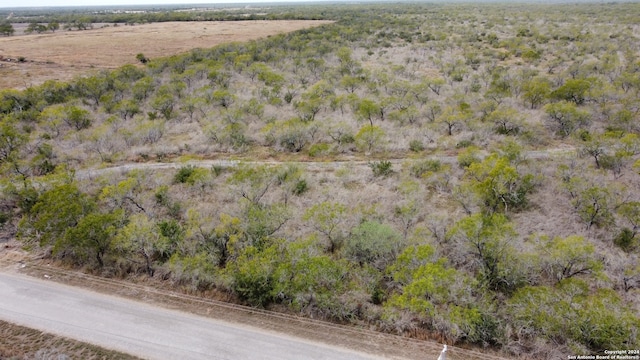 Listing photo 2 for TBD Cr 421, Christine TX 78012