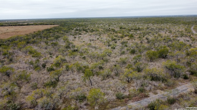 Listing photo 3 for TBD Cr 421, Christine TX 78012