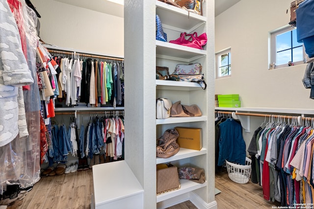 walk in closet with light wood-type flooring