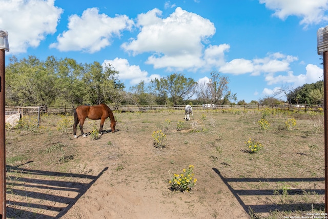 view of yard featuring a rural view