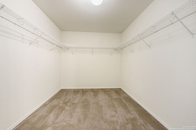 spacious closet with carpet