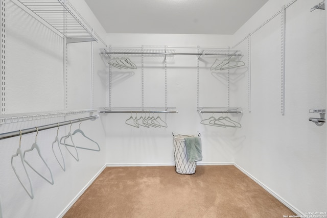 spacious closet with carpet