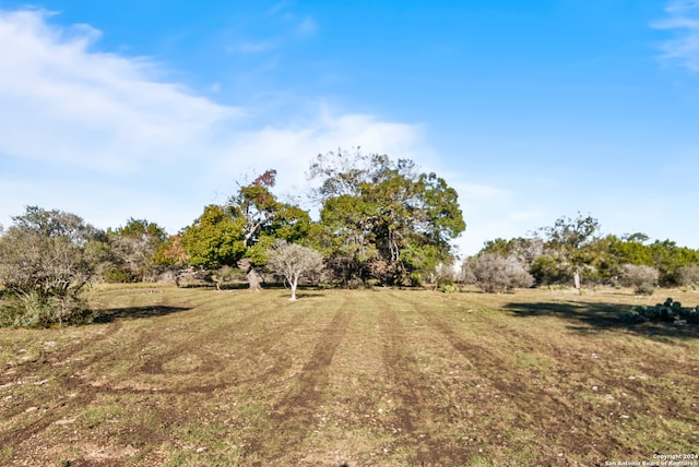 view of yard with a rural view