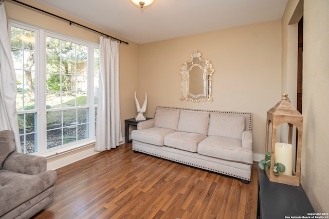 living room featuring wood-type flooring