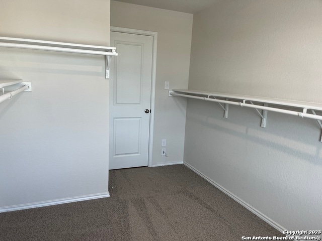 walk in closet with dark colored carpet