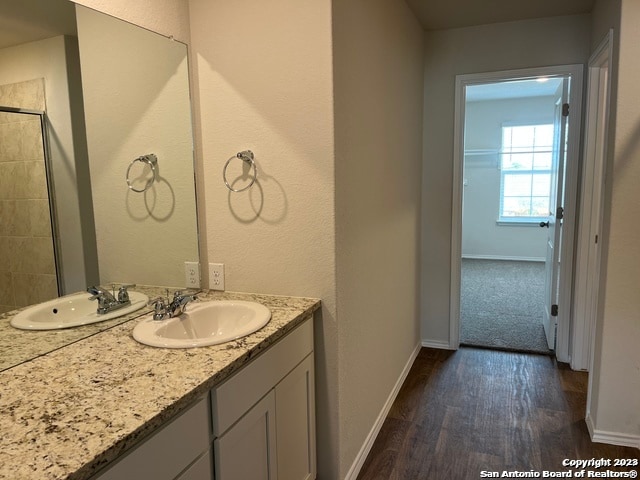 bathroom featuring hardwood / wood-style floors and vanity