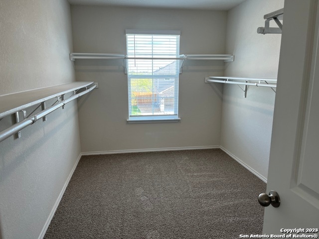 walk in closet featuring carpet floors