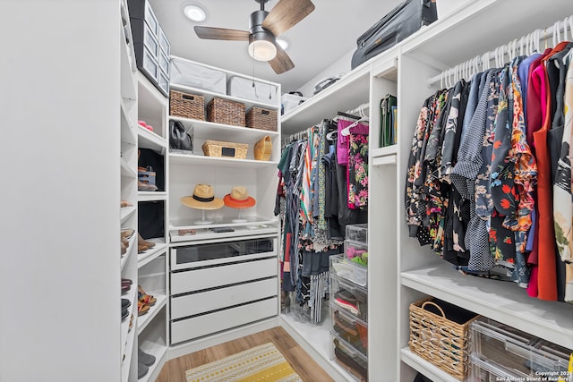 spacious closet featuring ceiling fan and light hardwood / wood-style flooring